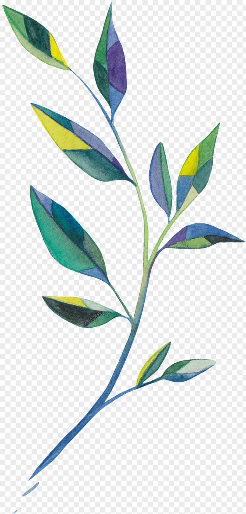 Leaf Vector Graphics Image Design PNG