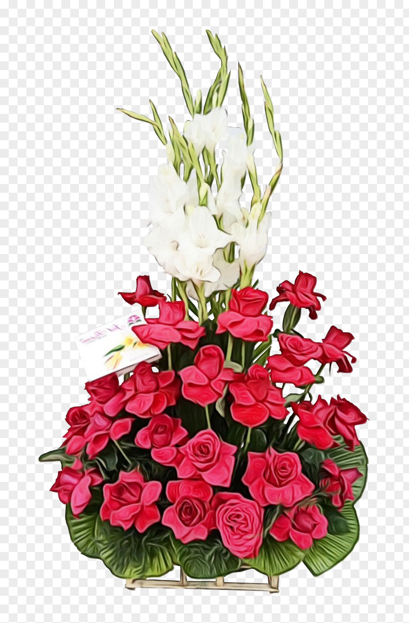 Petal Anthurium Floral Design PNG