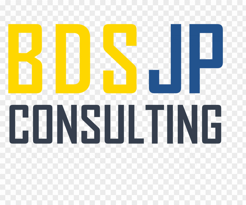 Business The Of Consulting: Basics And Beyond Management Consulting Consultant PNG