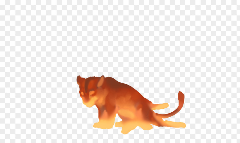 Lion Big Cat Puma Snout PNG