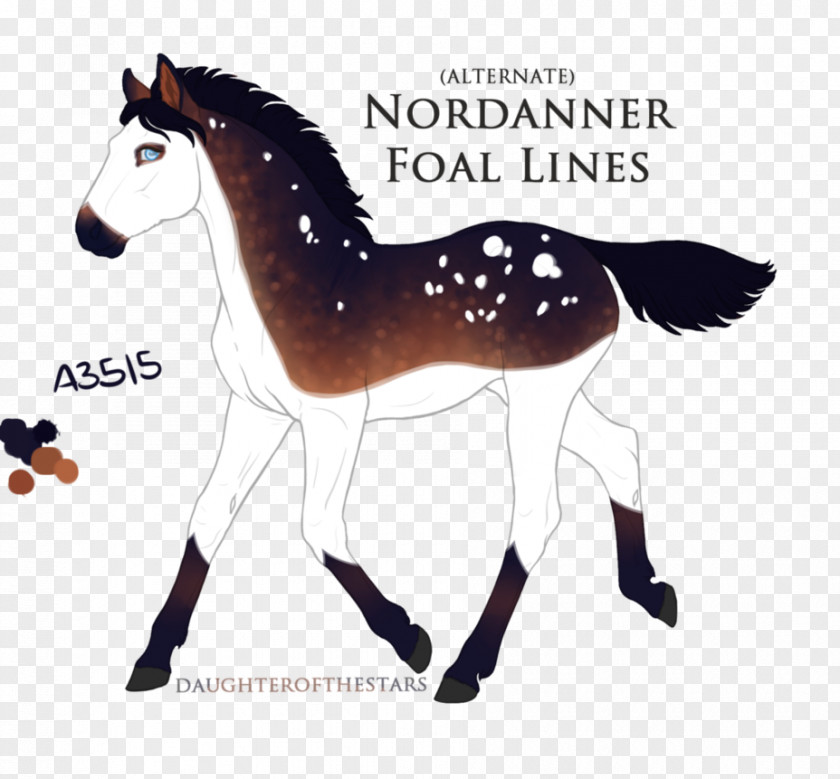Mustang Foal Pony Mare Stallion PNG