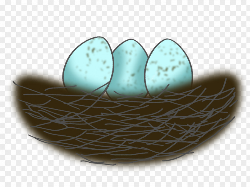 Nest Turquoise PNG