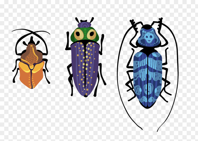 Three Bug Beetle Cockroach Butterfly Illustration PNG