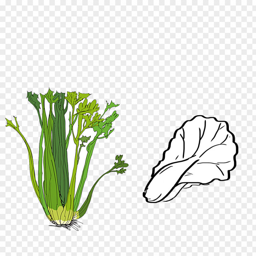 Apio Vector Image Resolution Vegetable Pixel PNG
