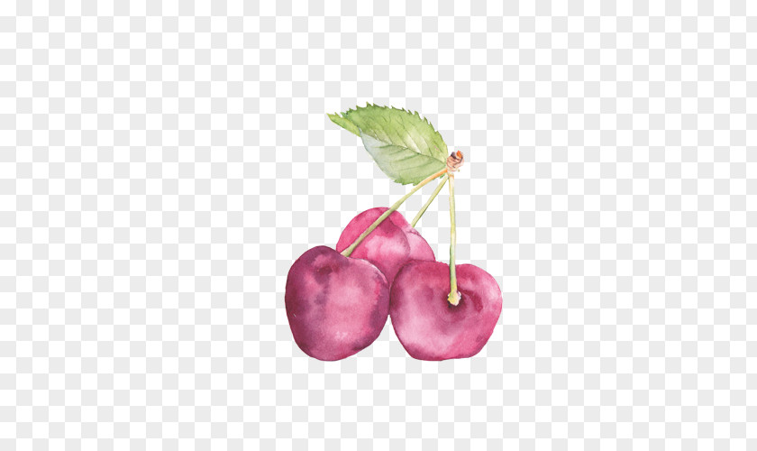 Cherry Cake PNG