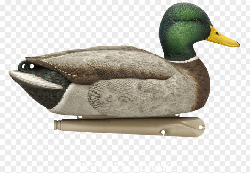 Duck Mallard Decoy Hunting PNG