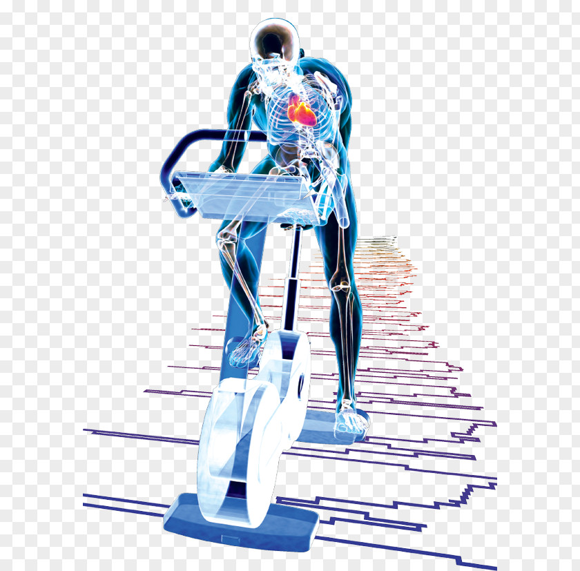 Exercise Physiology Ventricular Hypertrophy Human Body PNG