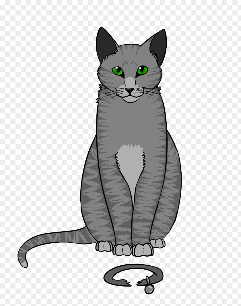 Firestar Korat Russian Blue Whiskers Tabby Cat Domestic Short-haired PNG