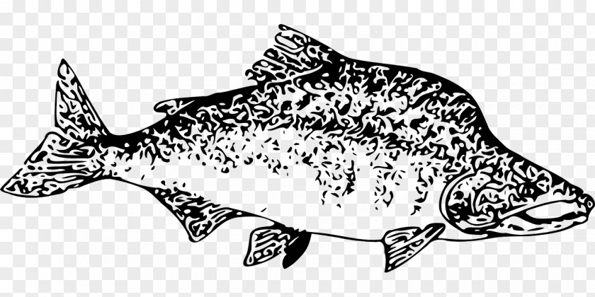 Fish Salmon Clip Art PNG