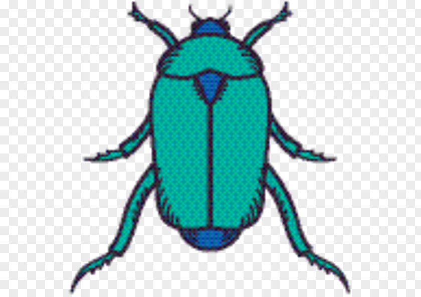 Jewel Bugs Arthropod Weevil Insect PNG