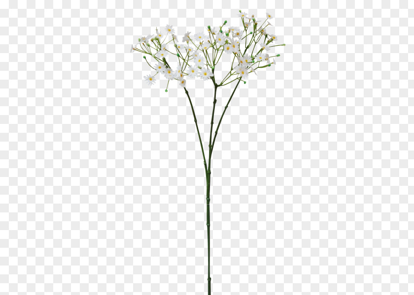 Leaf Twig Cut Flowers Plant Stem PNG