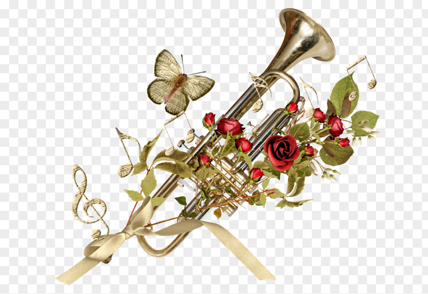 Musical Instruments Clef Note PNG