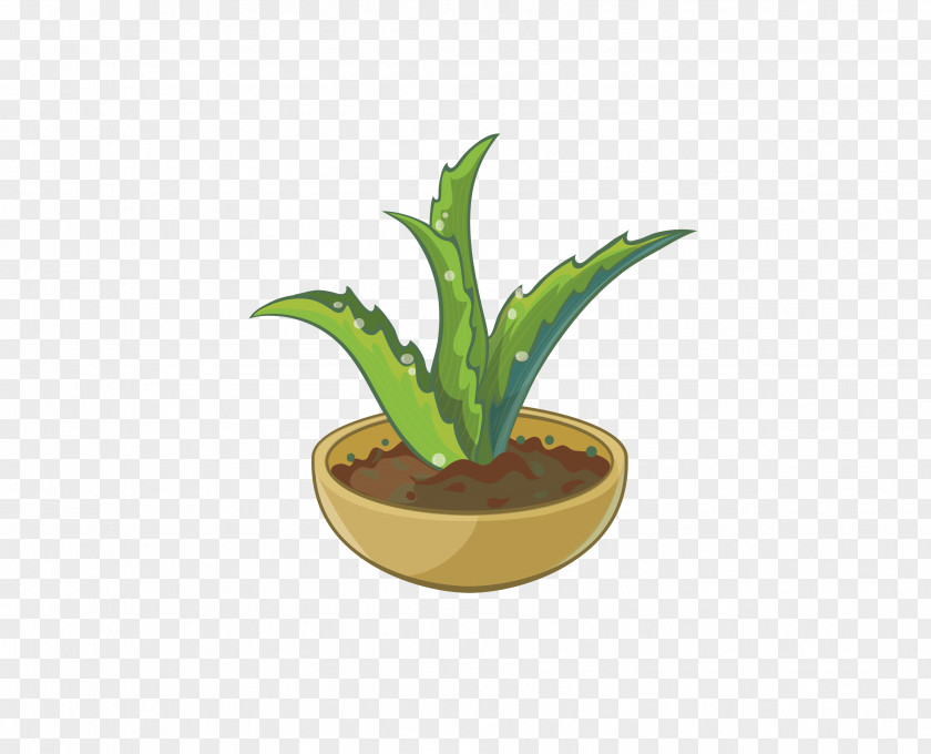 Aloe Potted Cartoon PNG