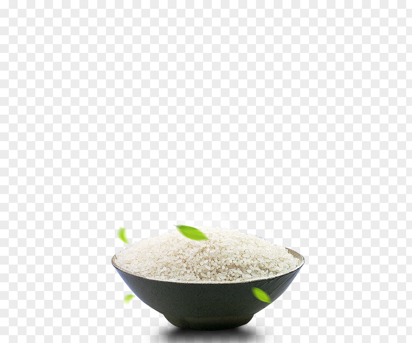 Creative Rice Cereal Oryza Sativa PNG