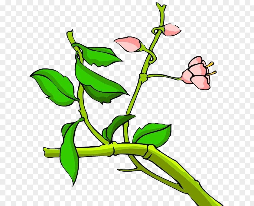 Hand Painted Plants Floral Design Twig Leaf Plant Stem Green PNG