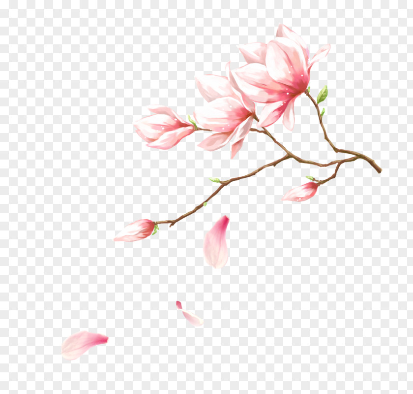 Handmade Magnolia Flowers Pink Download Flower PNG