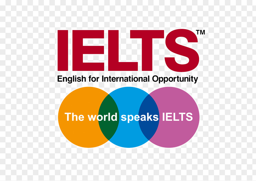 Ielts Book Test Of English As A Foreign Language (TOEFL) International Testing System Writing Examination PNG