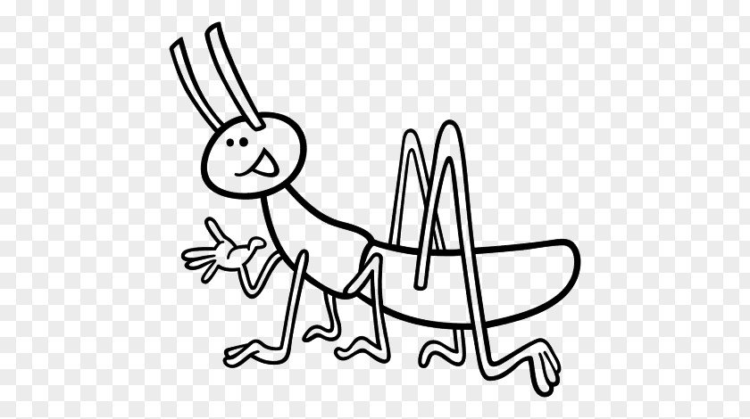 Insect Drawing Cricket Coloring Book PNG