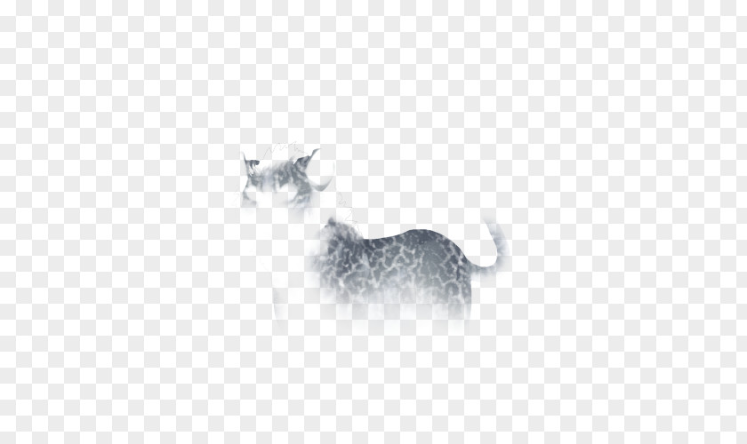Kitten Whiskers Dog White Snout PNG