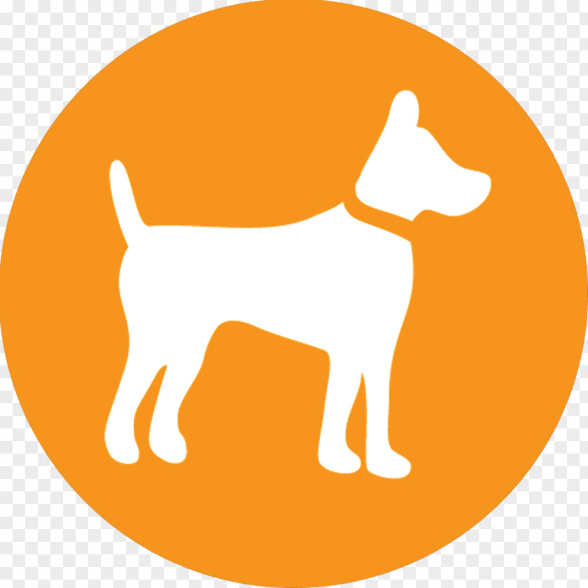 Puppy Affenpinscher Afghan Hound Airedale Terrier Pet Shop PNG