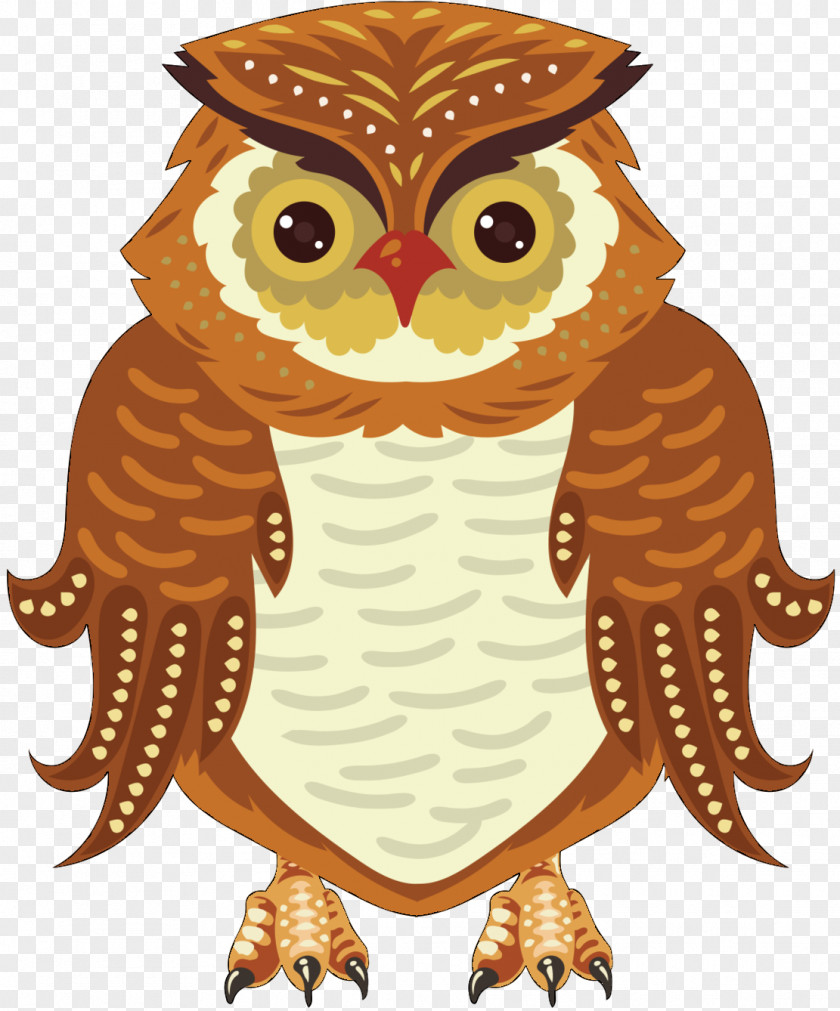 Screech Owl Sanctuary Image Photograph Illustration PNG