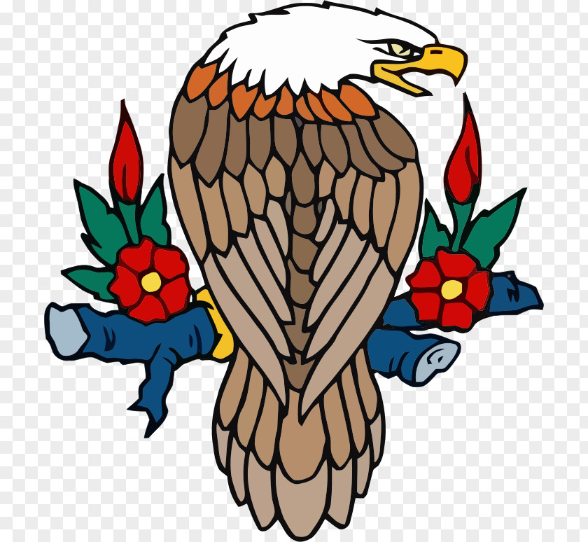 Surfing Eagle Cliparts Bald Bird Heraldry PNG