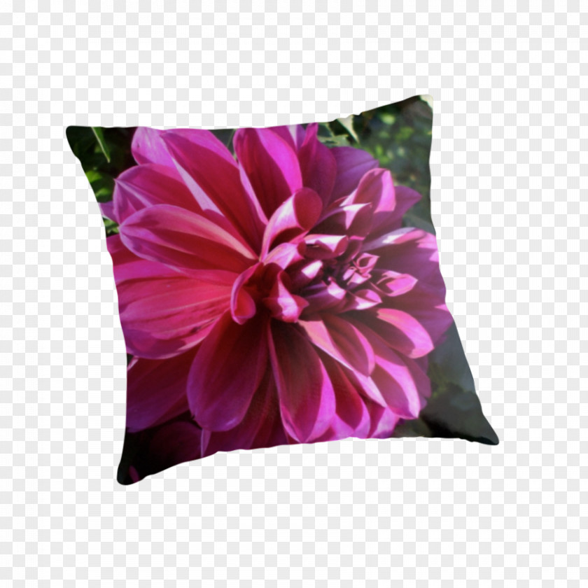 Throw Garbage Dahlia Pillows Cushion Cut Flowers PNG