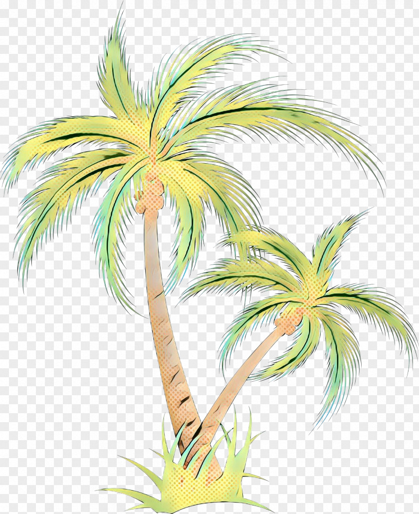 Asian Palmyra Palm Date Plant Stem Illustration Leaf PNG