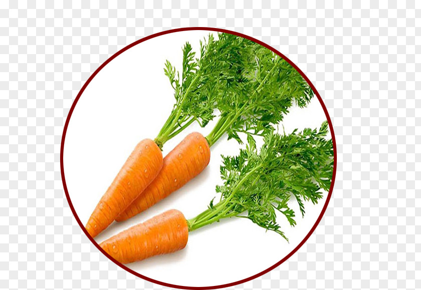 Carrot Vegetable Beta-Carotene Food PNG