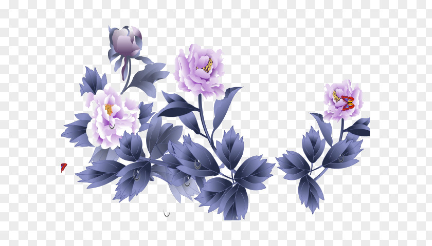 Peony Moutan Floral Design PNG