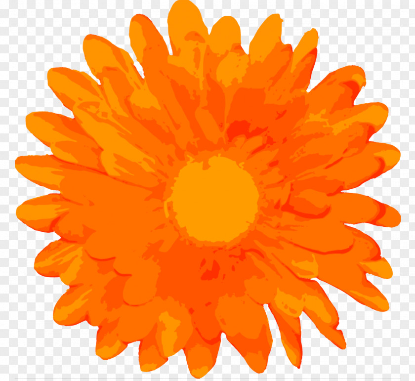 Pollen Sunflower Marigold Flower PNG