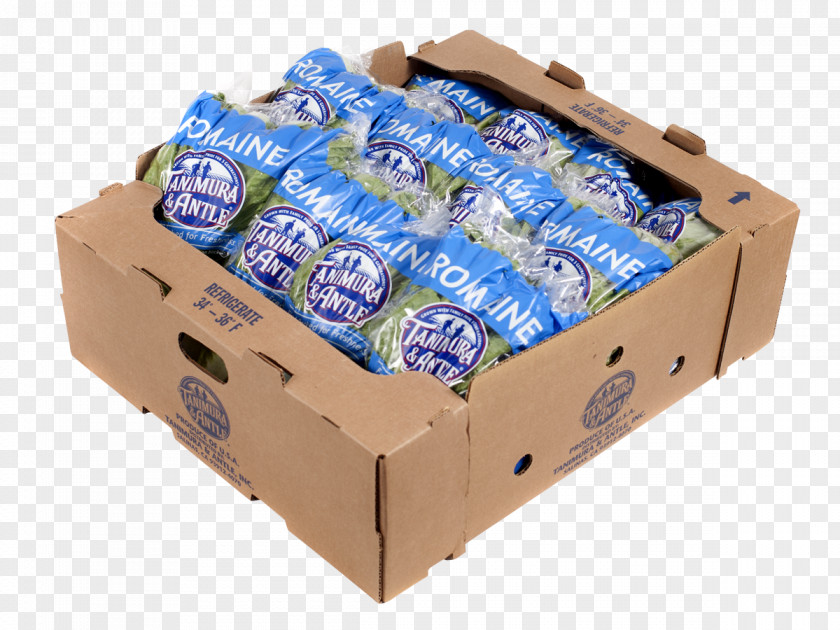 Romaine Lettuce Plastic Carton PNG