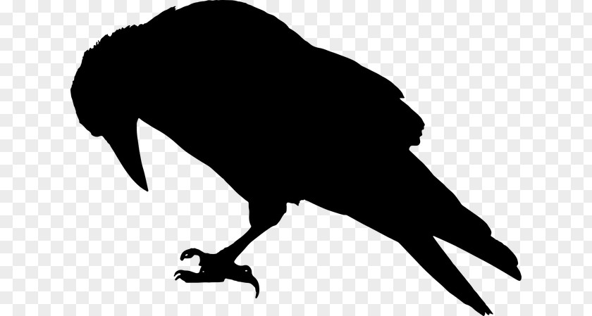 Silhouette Common Raven Bird Clip Art PNG