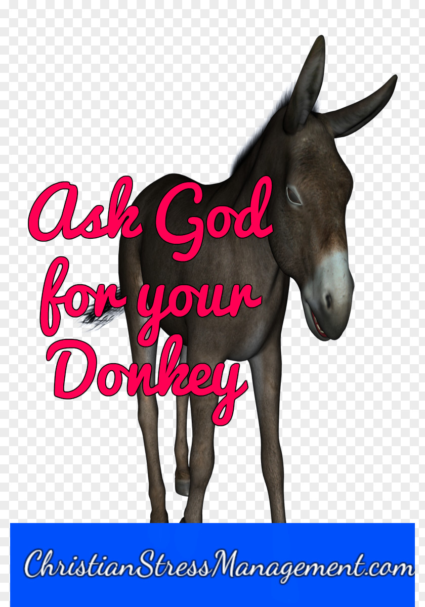 Stress Quotes Inspirational God Mule Foal Stallion Halter Colt PNG