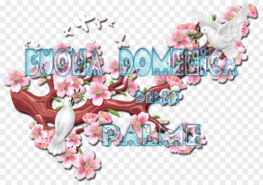 Flower Floral Design Almanacco Pagano. Festività E Miti Dell'antica Roma Enneagramma. Principi Di Base Cut Flowers PNG