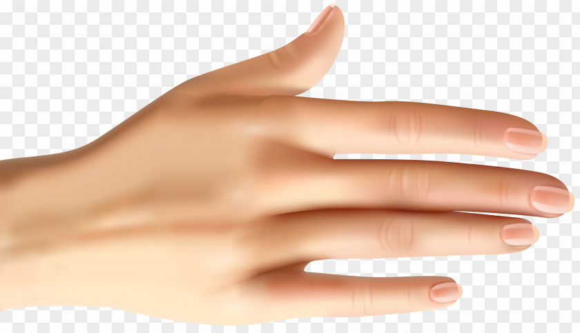 Hand Clip Art Nail Model Manicure Thumb PNG