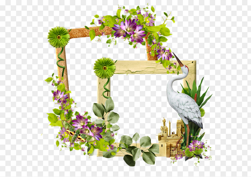 Title Frame Flower Floral Design Floristry Download Lavender PNG