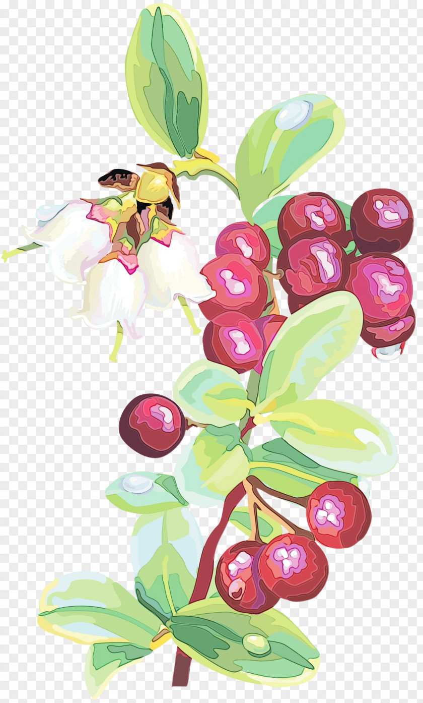 Branch Arctostaphylos Uvaursi Flower Plant Flowering Lingonberry Berry PNG