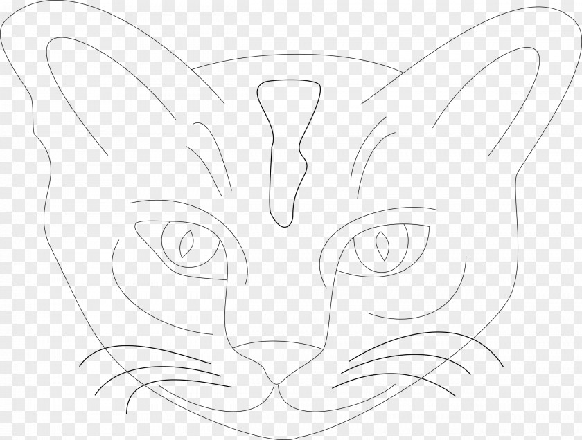 Cat Head Drawing Whiskers PNG