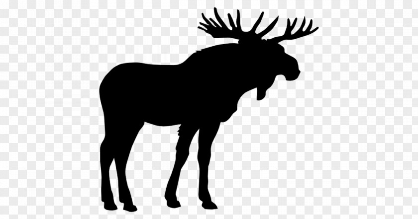 Deer Moose Elk Clip Art PNG