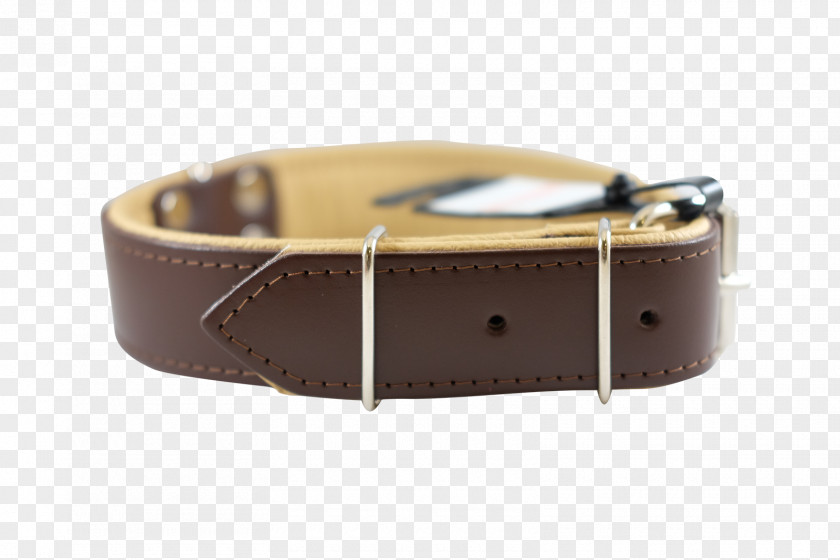 Dog BULLYMAKE LLC Watch Strap Collar PNG