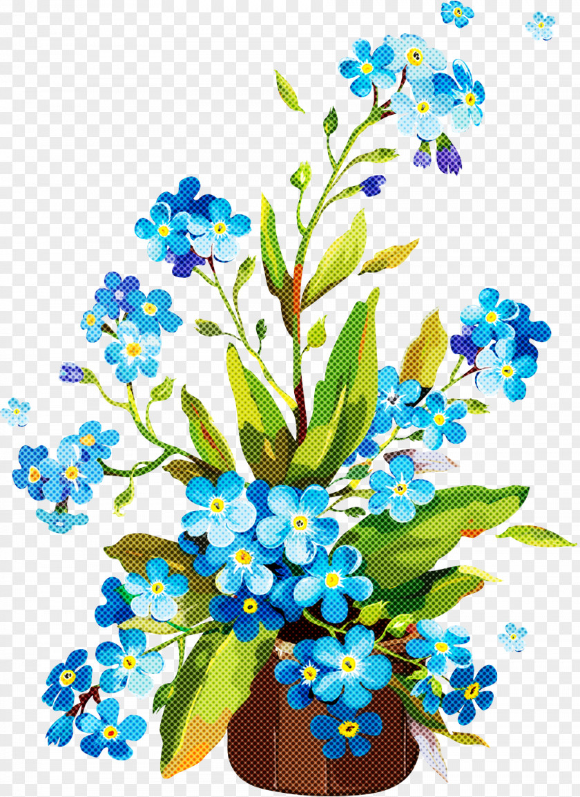 Flower Alpine Forget-me-not Plant Cut Flowers PNG