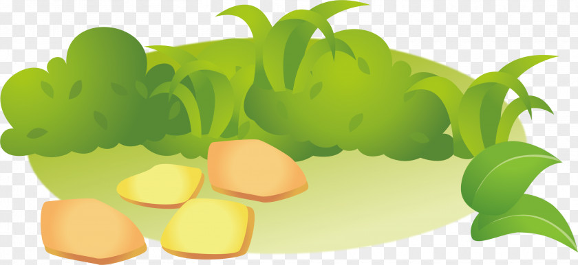 Grass Vector Element Illustration PNG