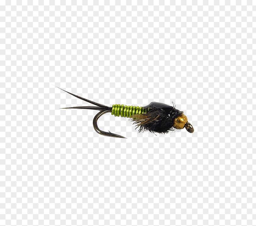 Insect Nymph Fly Fishing Chartreuse Baits & Lures PNG