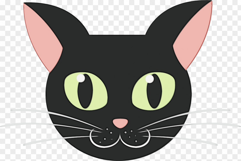 Kitten Persian Cat Cartoon Black Drawing PNG