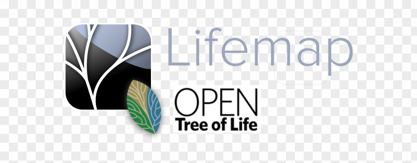 Life Tree Logo Brand Taxon PNG