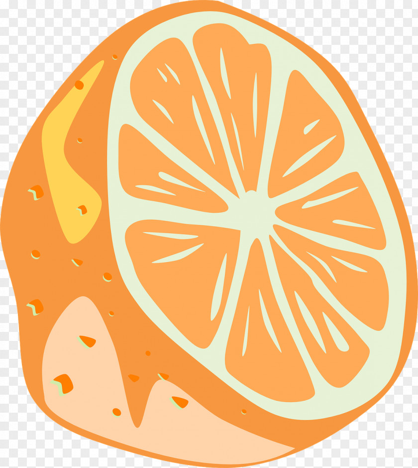 Orange Lemon Key Lime Clip Art PNG