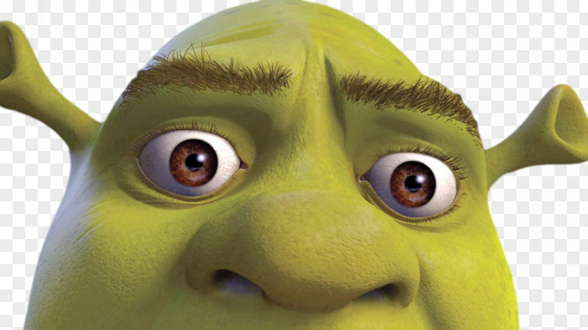 Shrek Shot Video Film Image PNG