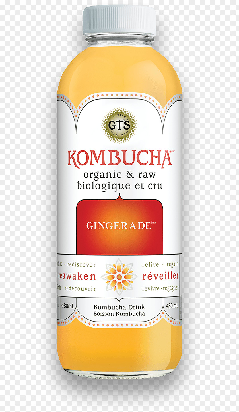 Active Living Kombucha Tea Masala Chai Raw Foodism PNG