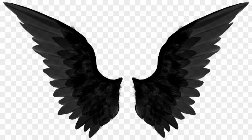 Angels Graphic Designer Clip Art PNG